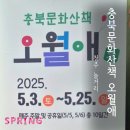 문화산책코스 | 청주 5월 가볼만한곳 충북문화산책 오월애 후기