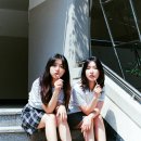 스텔라 이미지