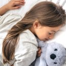 캐치팡팡 이미지