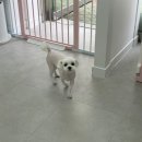 이뻐질개 이미지