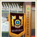 양감초등학교 Daum카페