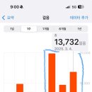 팽미 이미지