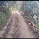 황죽펜션 이미지