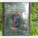 입화산참살이숲 이미지