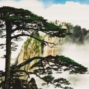 구름바다