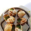 국토토지행정사사무소 이미지