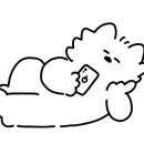 캄캄(calmcalm) 이미지