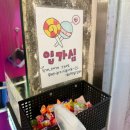 혜정 | 춘천 닭갈비골목 맛집 혜정닭갈비 내돈내산 솔직 추천 후기