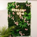 콘티룸