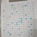 6/3(월)대통령 재선거일 이미지