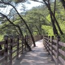 원평사골칼국수 이미지