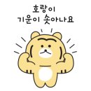 햇살마당 이미지