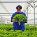 해오름 농장 이미지