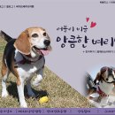 앙큼한언니 이미지