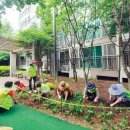 북한산 힐스테이트  1차 솔숲작은도서관 이미지