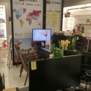 스타여행사 이미지