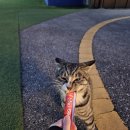 비비키즈풀빌라2 이미지