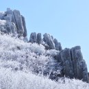 망 미 정 이미지