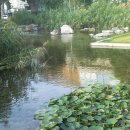 상동시민의강 이미지