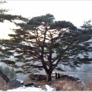 동부-7 이미지