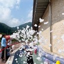 미션세상 이미지