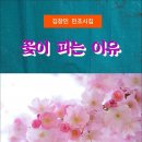 꽃이 피는 이유 / 김창민 민조시집 (전자책) 이미지