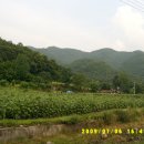 추정1리 이미지