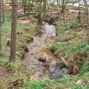 노세노세 이미지