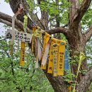 사명산쉼터