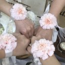 [창원 팔용동 파티룸] ‘어느날이든’ 브라이덜샤워 내돈내산 후기 (주차/옷 대여/취식 가능)