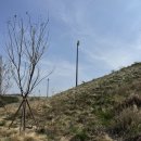 루나 힐 | 경주 힐스카이 (구 루나엑스) 노캐디 셀프 라운딩 후기