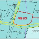 원요진농장 이미지