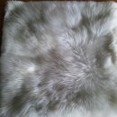 스타항균세탁 이미지