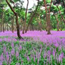 황성공원 이미지