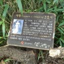 호남 신학 대학교