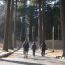 성지농원 이미지