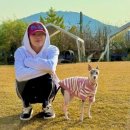 햇님