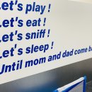 마이하우스퍼피 애견호텔 유치원 이미지