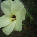 평기2리 이미지