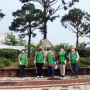 신안동9 이미지