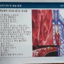혜민생활건강 이미지