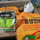 용성땅콩 이미지