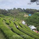 호텔 다향 - A 이미지