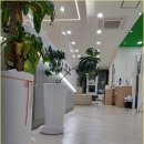 담다클린 이미지