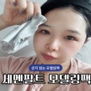 세멘팔트 모델링팩 내돈내산 후기 사용법 꿀팁 대방출