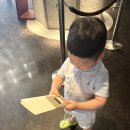 아기랑 서울신라호텔 | 남산뷰 이그제큐티브 디럭스룸 | 어번아일랜드 호캉스 후기
