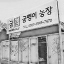 굼랩