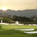 더 스타 이미지