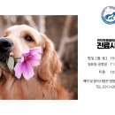 인덕원동물의료센터 이미지