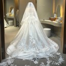 지정 | [드레스 샵 지정 후기 1탄] 셀레브 (Sesreves) - 이미지 투어/ 만족 후기 🫶🏻